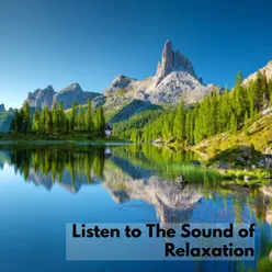 Listen to The Sound of Relaxation