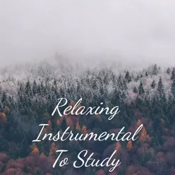 Relaxing Instrumental To Study