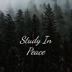 Study In Peace