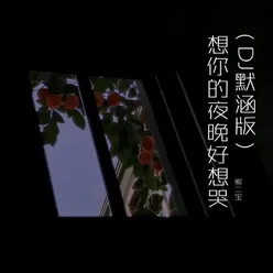 想你的夜晚好想哭