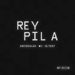 Amygdalae / IQ Test