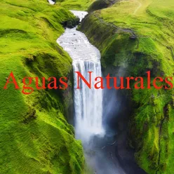 Aguas Naturales