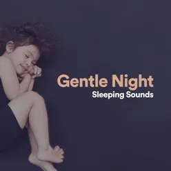 Gentle Night Sleeping Sounds