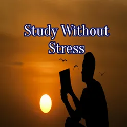 étudier sans stress