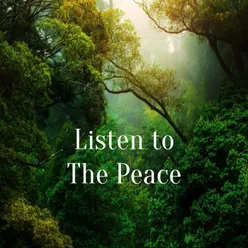 Dëgjoni Paqen