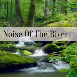 Noise Of The River