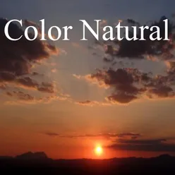 Color Natural