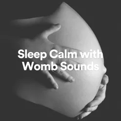 Sleep Calm with Womb Sounds, Pt. 7