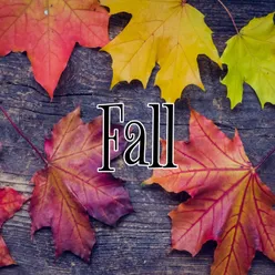 Fall