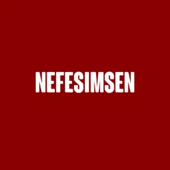 Nefesimsen