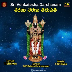 SRI VENKATESA DARSANAM