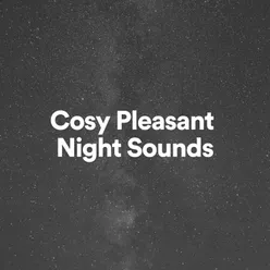 Cosy Pleasant Night Sounds, Pt. 4