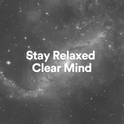 Stay Relaxed Clear Mind, Pt. 8