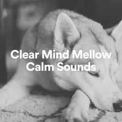 Clear Mind Mellow Calm Sounds, Pt. 18