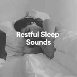 Restful Sleep Sounds, Pt. 9