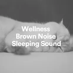 Wellness Brown Noise Sleeping Sound