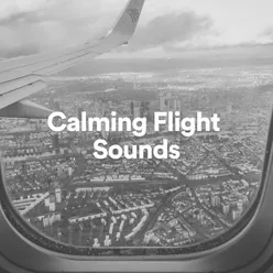 Calming Flight Sounds