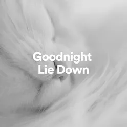 Goodnight Lie Down, Pt. 6