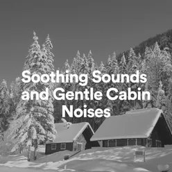 Soothing Sounds and Gentle Cabin Noises, Pt. 4