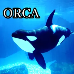 ORCA