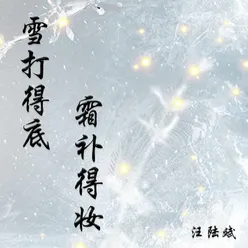 雪打得底霜补得妆