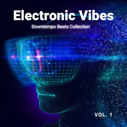 Electronic Vibes, Vol. 1