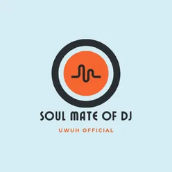 SOUL MATE OF DJ