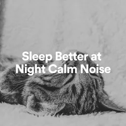 Sleep Better at Night Calm Noise