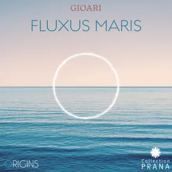 Fluxus maris, entre vagues et nuages, pt. 2