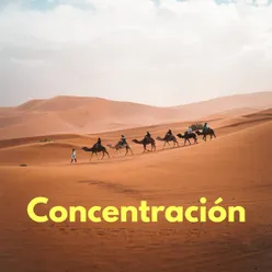 Concentración