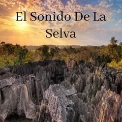 El Sonido De La Selva