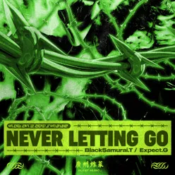 NeverLettingGo