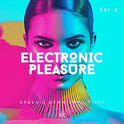 Electronic Pleasure, Vol. 3