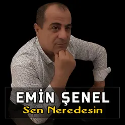 Sen Neredesin