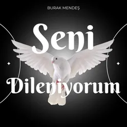 Seni Dileniyorum