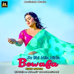 Jo Bhi Mila Nikla Bewafa-Hindi Songs