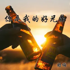 你是我的好兄弟