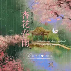 杏花春雨