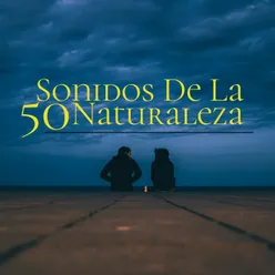 50 Sonidos De La Naturaleza