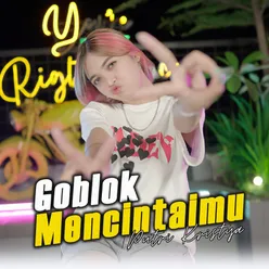 Goblok Mencintaimu