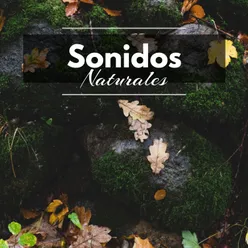 Sonidos Naturales