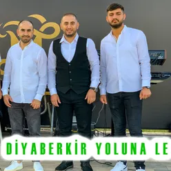 Diyarbekir Yoluna Le