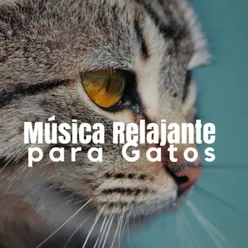 Música Relajante Para Gatos