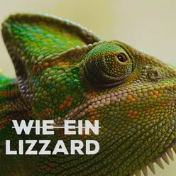 Wie ein Lizzard