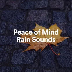 Peace of Mind Rain Sounds