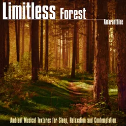 Limitless Forest (Ambient Musical Textures for Sleep, Relaxation and Contemplation)