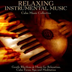 Relaxing Instrumental Music: Gentle Rhythms & Music for Relaxation, Calm Focus, Spa and Meditation