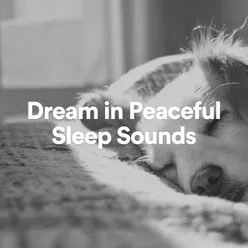 Dream in Peaceful Sleep Sounds, Pt. 5