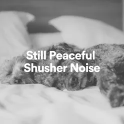 Still Peaceful Shusher Noise, Pt. 5