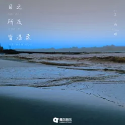 目之所及皆温柔